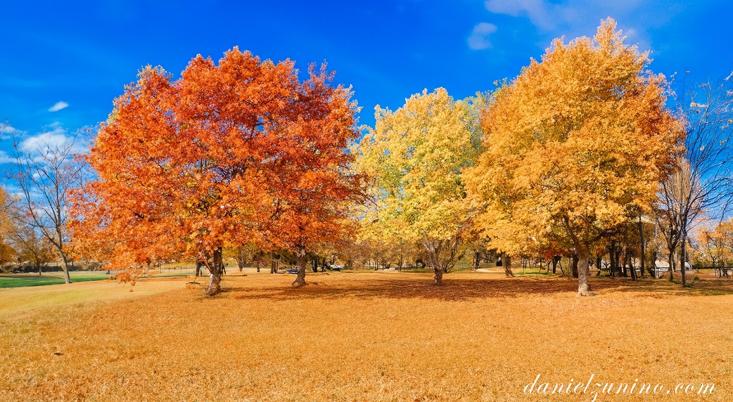 parque independencia
