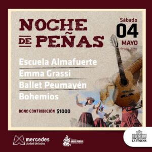 Lee más sobre el artículo NOCHE DE PEÑAS