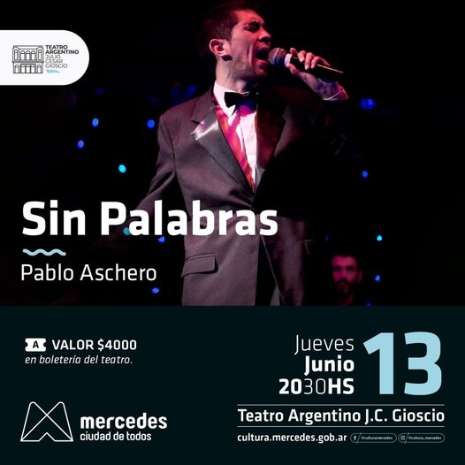 Lee más sobre el artículo SIN PALABRAS – PABLO ASCHERO
