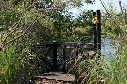 arroyo balta MIRADOR