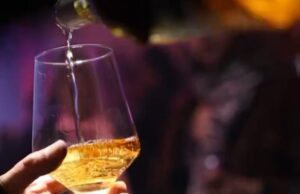 Lee más sobre el artículo SE VIENE UNA NUEVA EDICIÓN DEL PASEO DEL VINO