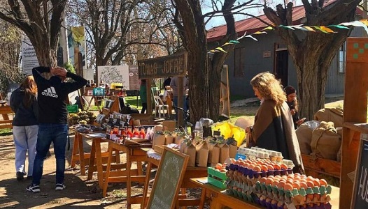 MERCADITO SUSTENTABLE DE CAMPO