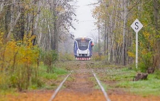 TREN TURISTICO MERCEDES/ALTAMIRA/JOFRE