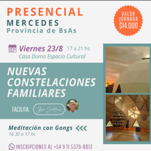 Lee más sobre el artículo NUEVAS CONSTELACIONES FAMILIARES