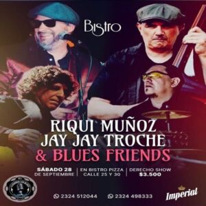 Lee más sobre el artículo NOCHE DE BLUES