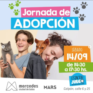 Lee más sobre el artículo JORNADA DE ADOPCION