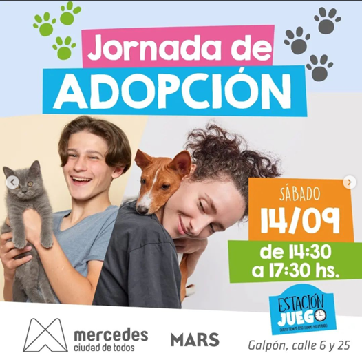 Lee más sobre el artículo JORNADA DE ADOPCION