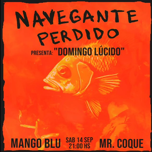 Lee más sobre el artículo NAVEGANTE PERDIDO