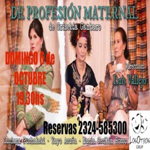 Lee más sobre el artículo DE PROFESION MATERNAL