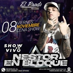 Lee más sobre el artículo NESTOR EN BLOQUE