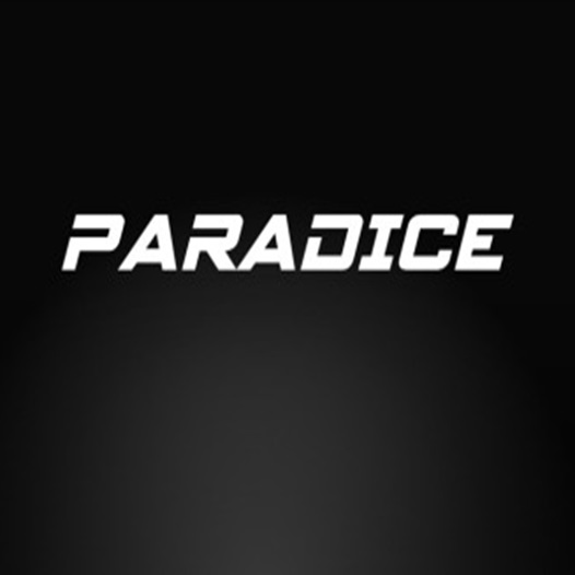 Lee más sobre el artículo PARADISE NIGHT