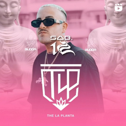 Lee más sobre el artículo THE LA PLANTA