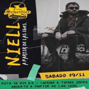 Lee más sobre el artículo NIELL