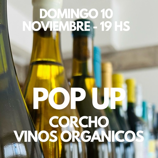 Lee más sobre el artículo POP UP