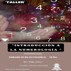 Lee más sobre el artículo INTRODUCCION A LA NUMEROLOGIA