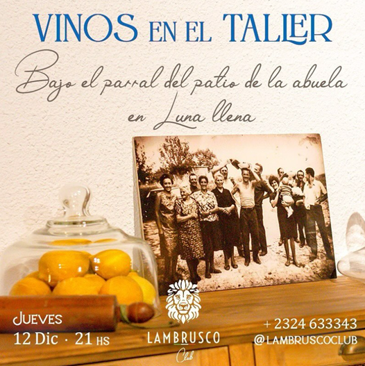 Lee más sobre el artículo VINOS EN EL TALLER