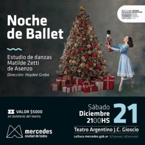 Lee más sobre el artículo NOCHE DE BALLET