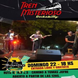 Lee más sobre el artículo TREN MISTERIOSO