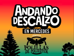 Lee más sobre el artículo ANDANDO DESCALZO