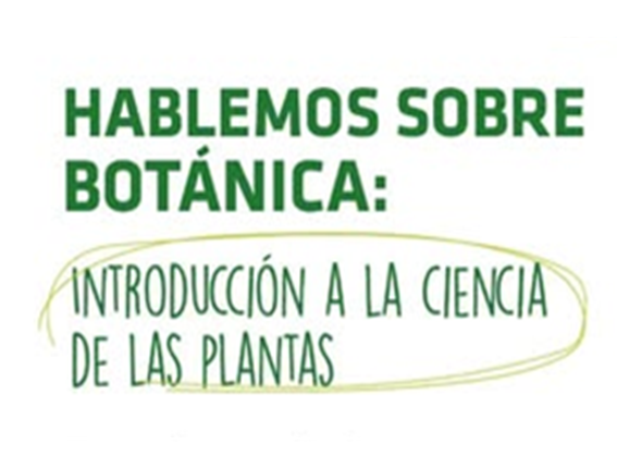 Lee más sobre el artículo HABLEMOS SOBRE BOTANICA