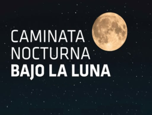 Lee más sobre el artículo CAMINATA NOCTURNA BAJO LA LUNA
