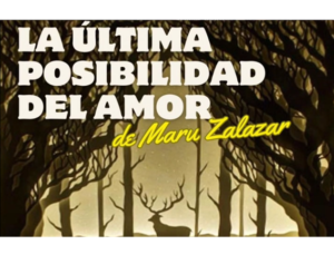 Lee más sobre el artículo LA ULTIMA POSIBILIDAD DEL AMOR