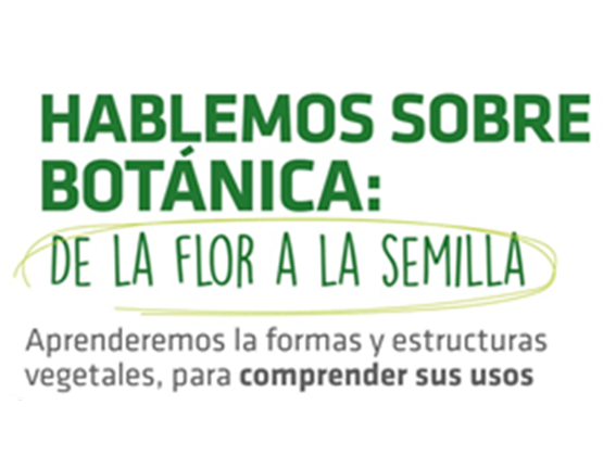 Lee más sobre el artículo HABLEMOS SOBRE BOTANICA
