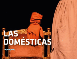 Lee más sobre el artículo LAS DOMESTICAS
