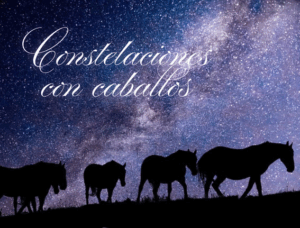 Lee más sobre el artículo CONSTELACIONES CON CABALLOS