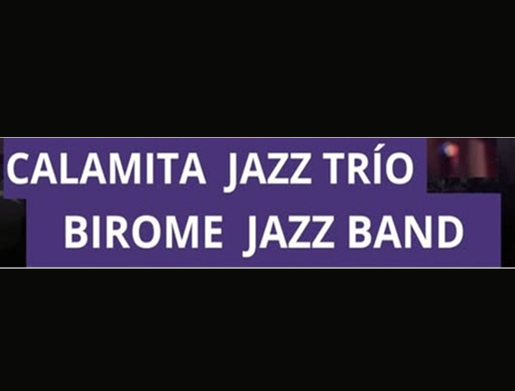Lee más sobre el artículo NOCHE DE BLUES LOCAL