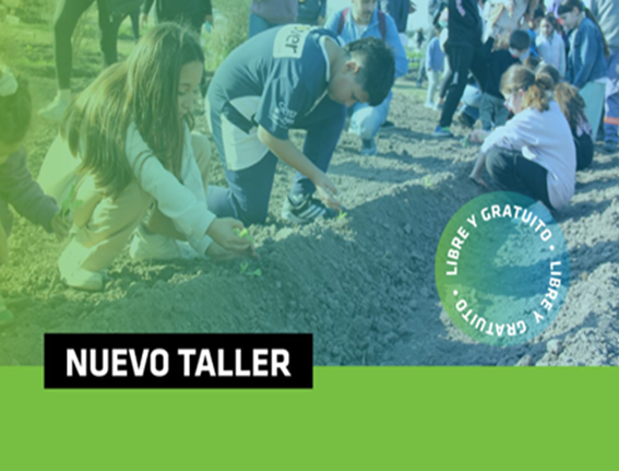 Lee más sobre el artículo TALLER DE HUERTAS ESCOLARES
