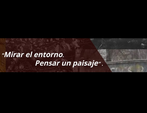 Lee más sobre el artículo MIRAR EL ENTORNO…
