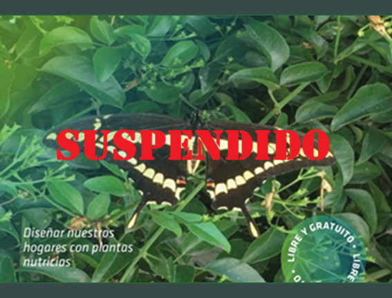 Lee más sobre el artículo EL MUNDO DE LAS MARIPOSAS