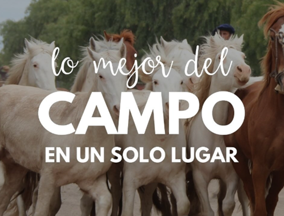 Lee más sobre el artículo 77° EXPO RURAL 2025