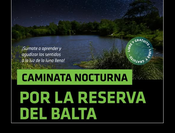 Lee más sobre el artículo CAMINATA NOCTURNA EN EL BALTA