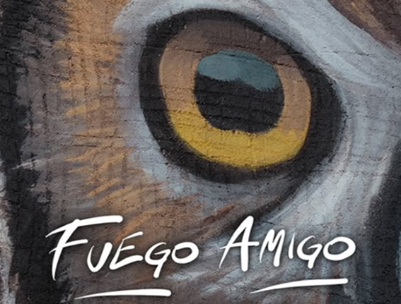 Lee más sobre el artículo FUEGO AMIGO II