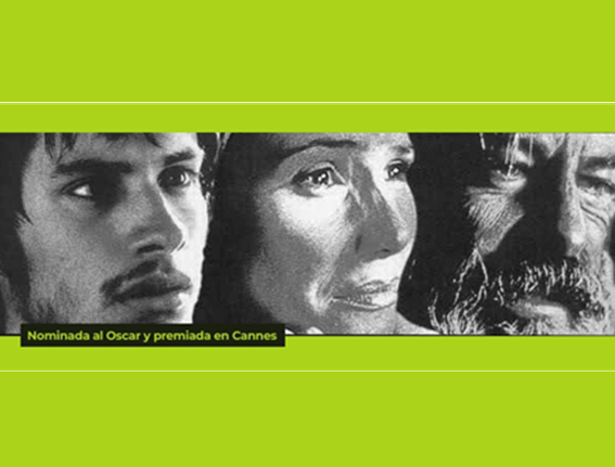 Lee más sobre el artículo AMORES PERROS