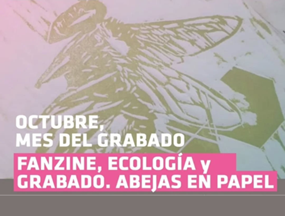 Lee más sobre el artículo FANZINE, ECOLOGIA y GRABADO