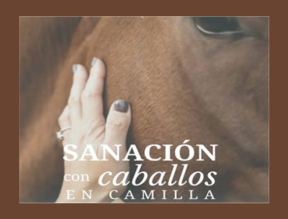 Lee más sobre el artículo SANACION CON CABALLOS