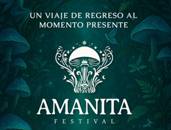 Lee más sobre el artículo AMANITA FESTIVAL