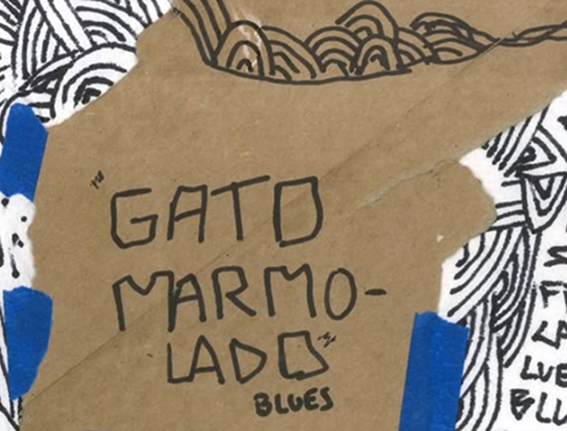 Lee más sobre el artículo GATO MARMOLADO