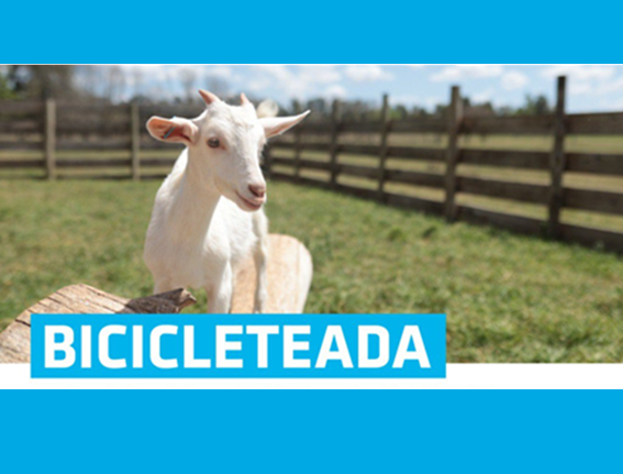Lee más sobre el artículo BICICLETEADA A LA CHACRITA