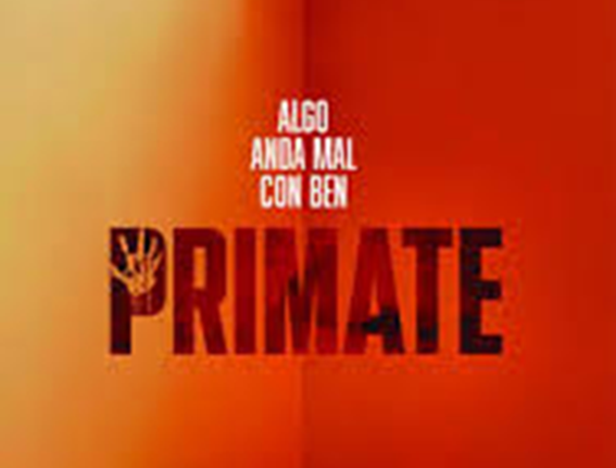 Lee más sobre el artículo PRIMATE