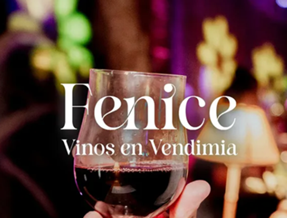 Lee más sobre el artículo FENICE, VINOS EN VENDIMIA