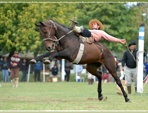 Lee más sobre el artículo ENCUENTRO DE TRADICION y CAMPO