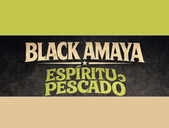 Lee más sobre el artículo BLACK AMAYA