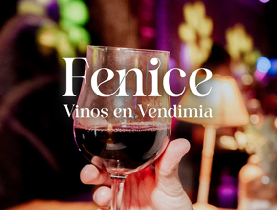 Lee más sobre el artículo FENICE