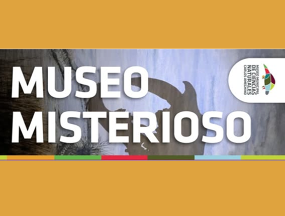 Lee más sobre el artículo MUSEO MISTERIOSO