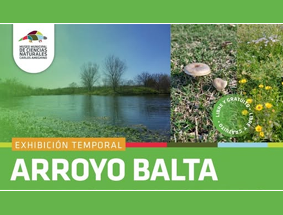 Lee más sobre el artículo ARROYO BALTA
