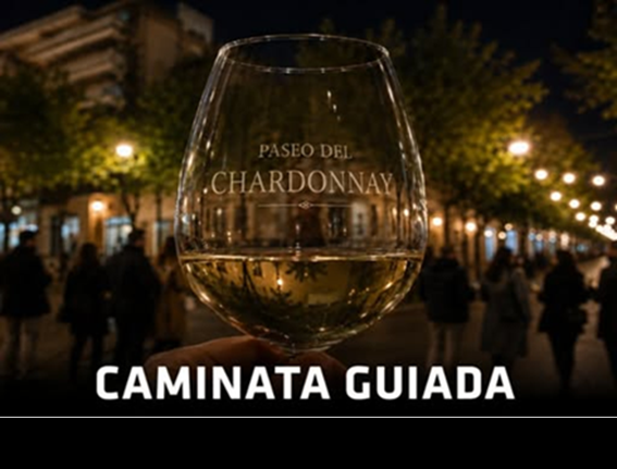 Lee más sobre el artículo PASEO DEL CHARDONNAY